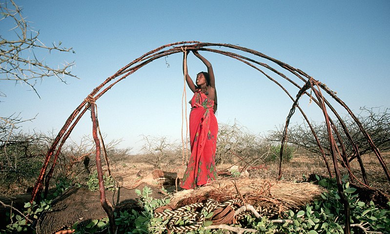 Somali woman building an aqal