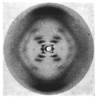 Rosalind Franklin's Photo 51