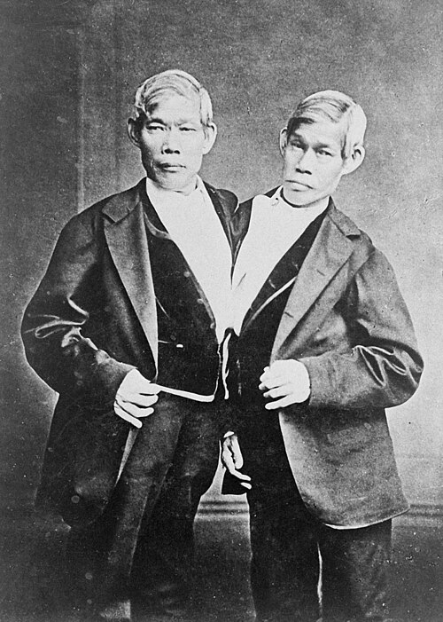 A portrait of Chang and Eng Bunker