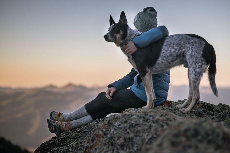 Dog and person hiking together