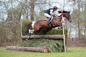 Rider on a horse jumping a log