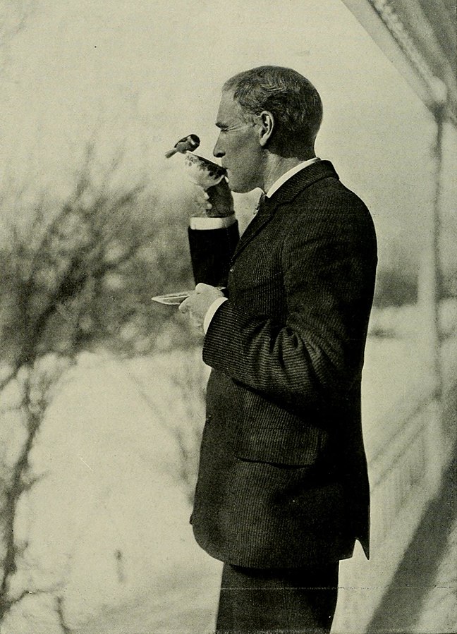 Ernest Harold Baynes wearing a suit and drinking from a teacup which has a bird resting on the rim