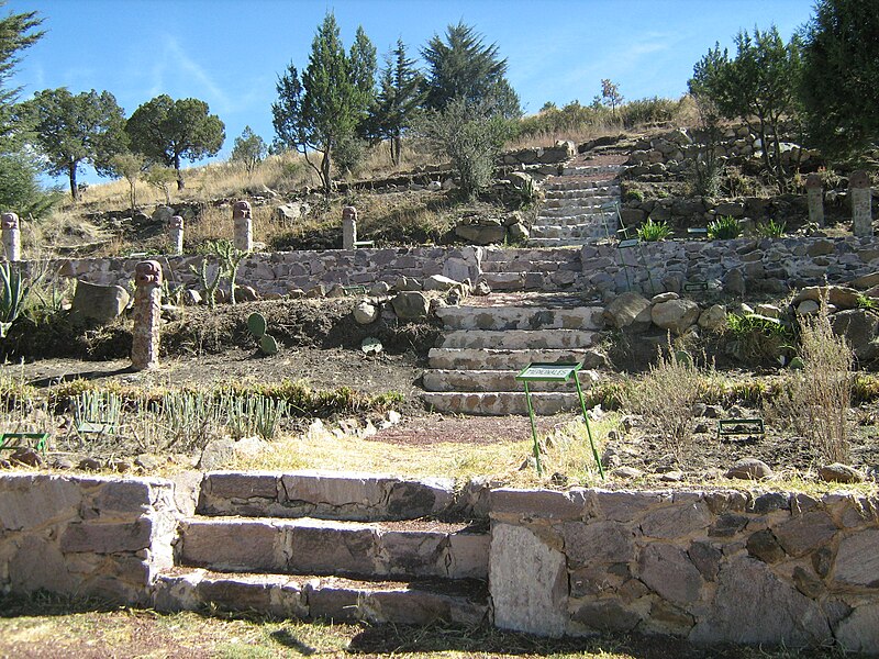 Photograph of the ruins of the imperial gardens of Nezahualcoyotl, showing a succession of steps, walls, and other stone arrangements covered by trees and other plant life