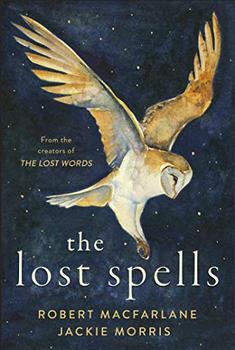 Book cover for The Lost Spells