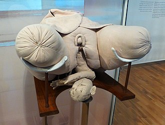 A manikin of a woman's lower body giving birth