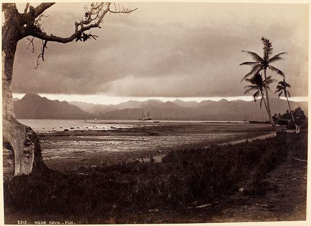 Albumen silver print photo with glossy finish showing landscape with coastal view and mountains in background near Suva, Fiji in 1884