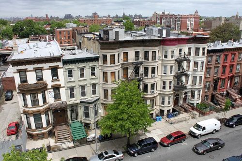 View from a rooftop over a Brooklyn neighborhood of historic buildings and trees