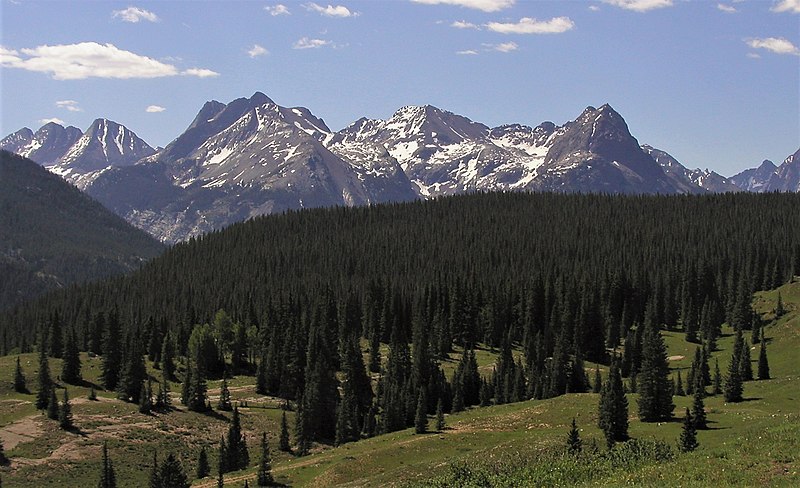 Color photo of a segment of the San Juan Mountains, with snowy peaks visible in background and an expanse of grass and pine trees in foreground