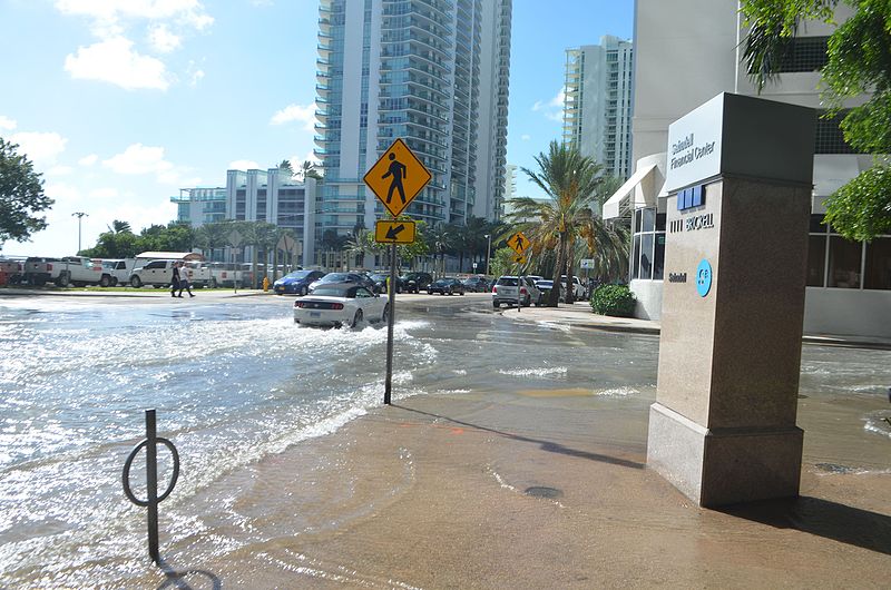 Tidal flooding in Miami on a sunny day, view of shallow waters submerging a city street corner