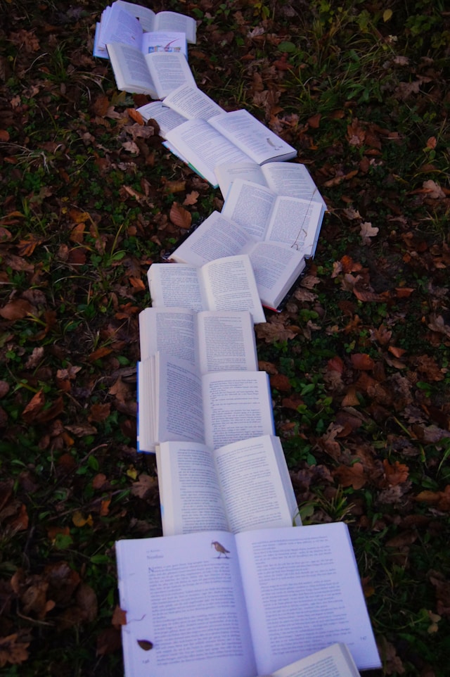 Photo showing open books lying end-to-end on leaf-covered ground
