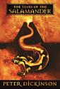 Tears of The Salamander by Peter Dickinson, hardcover jacket