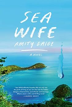Sea Wife by Amity Gaige