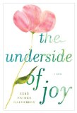 The Underside of Joy by Sere Prince Halverson
