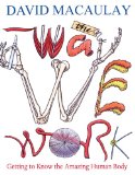 The Way We Work by David Macaulay