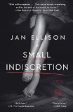 Book Jacket: A Small Indiscretion