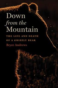 Down from the Mountain by Bryce Andrews