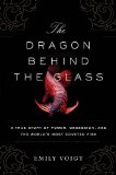 The Dragon Behind the Glass