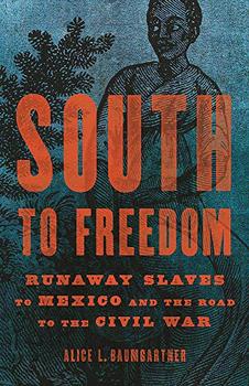 South to Freedom by Alice L. Baumgartner