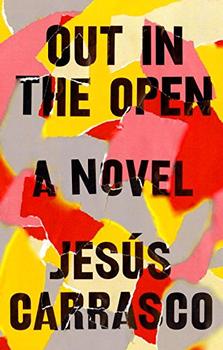 Out in the Open by Jesús Carrasco (author), Margaret Jull Costa  (translator)