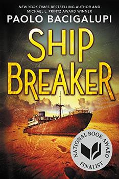 Ship Breaker (Ship Breaker, 1)