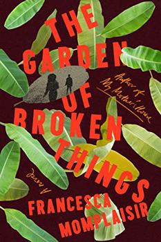 The Garden of Broken Things jacket