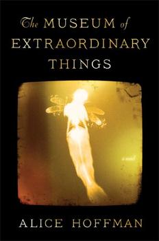The Museum of Extraordinary Things jacket
