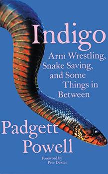 Indigo by Padgett Powell
