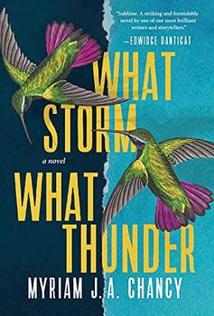What Storm, What Thunder book jacket
